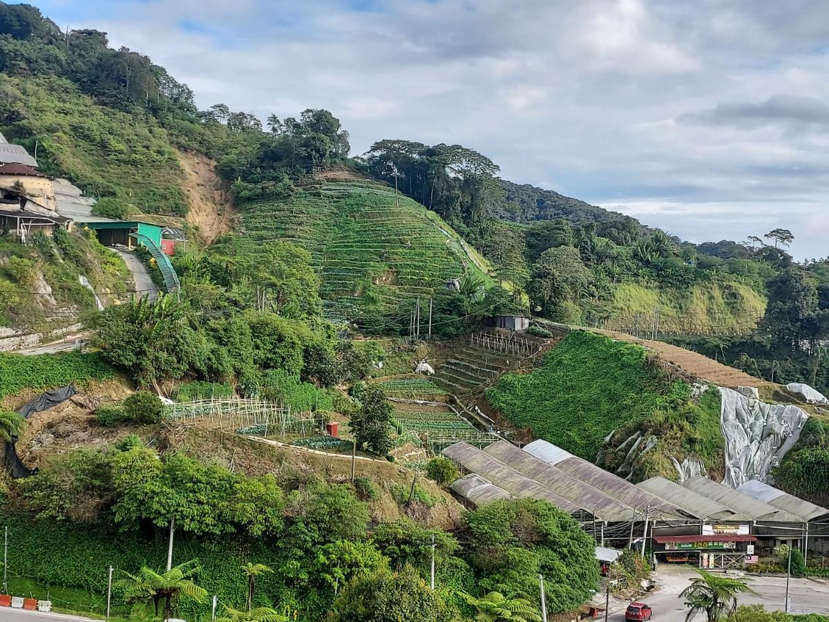 Apartment Nova Retreat Kea Farm Balcony Valley View *